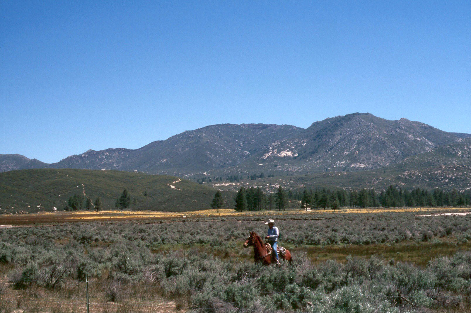 San Bernardino Mountains Land Trust Our Preserved Lands